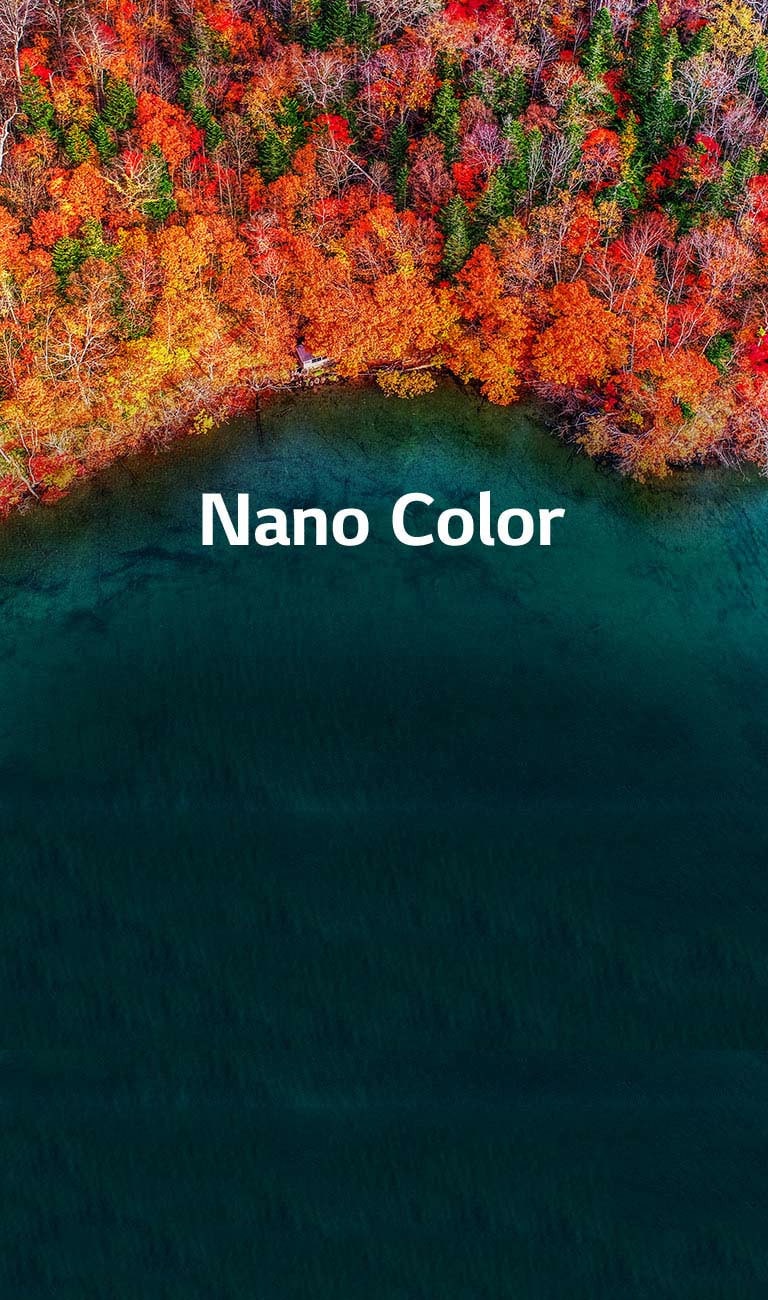 Une pureté de couleur raffinée2