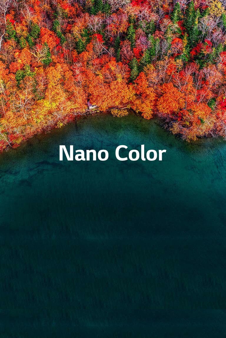 Une pureté de couleur raffinée2