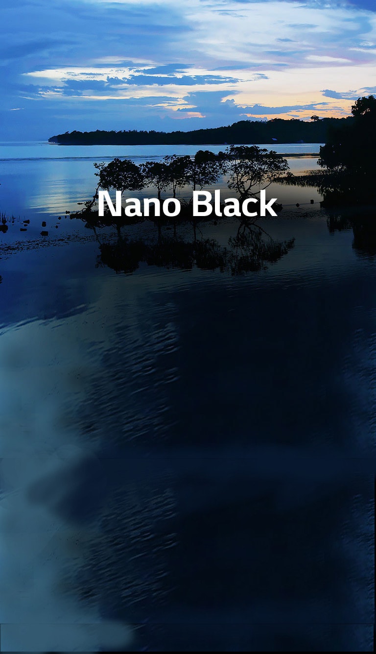 Contraste Intense avec Full Array Dimming Pro2