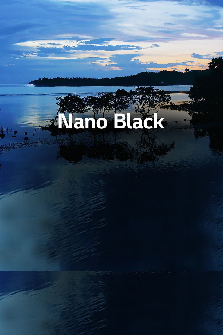 Contraste Intense avec Full Array Dimming Pro2