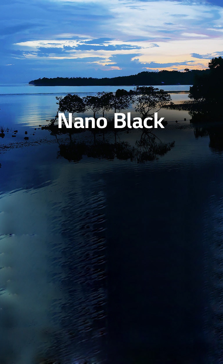 Full array dimming, pour un noir plus profond2