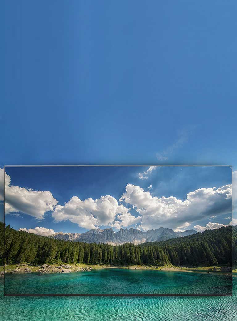 Un réalisme 8K exceptionnel2