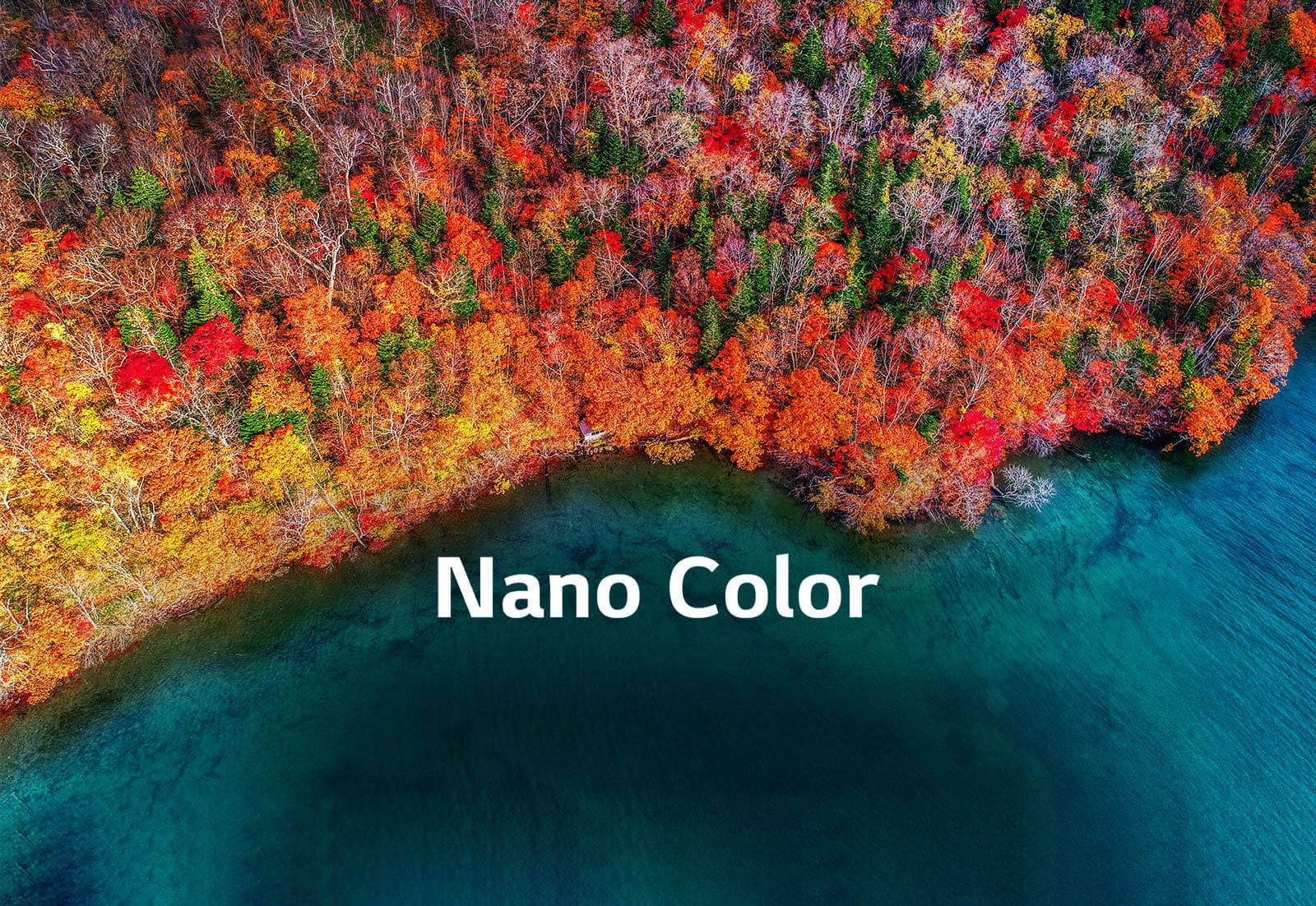 Une pureté de couleur raffinée1