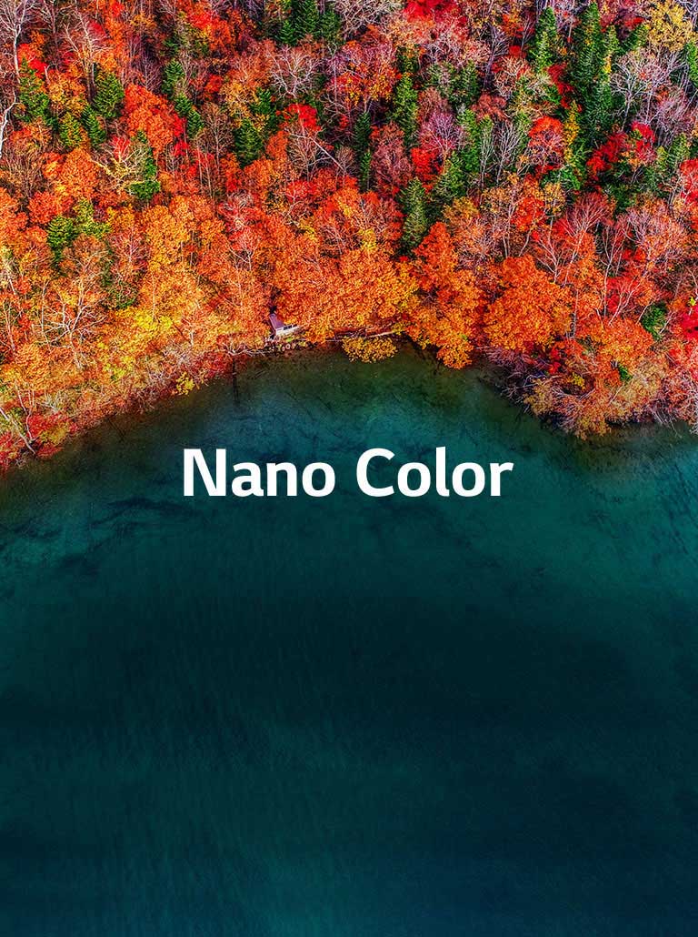 Une pureté de couleur raffinée2