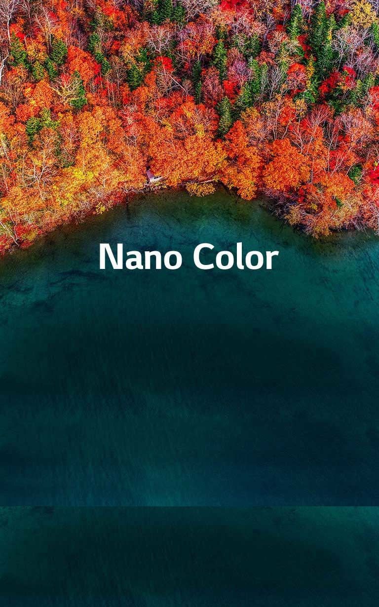 Une pureté de couleur raffinée2