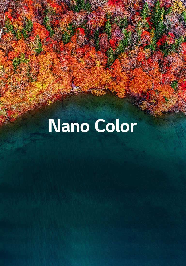 Une pureté de couleur raffinée2