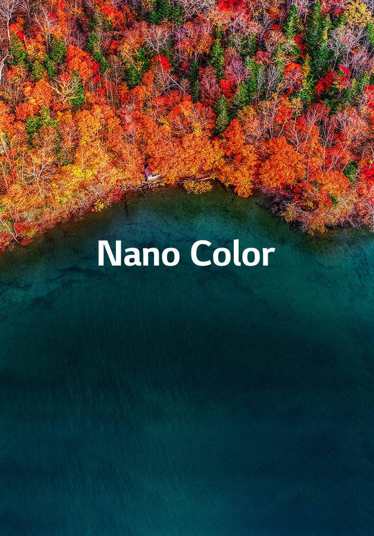 Une pureté de couleur raffinée2