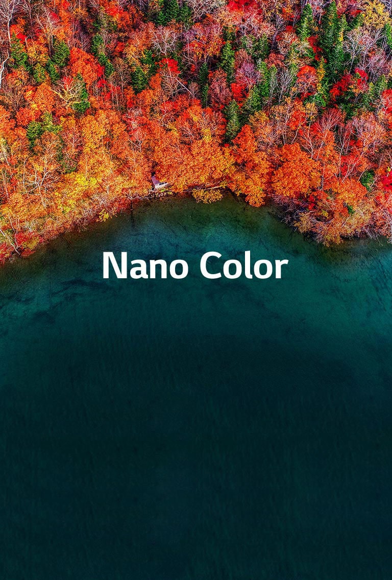 Une pureté de couleur raffinée2