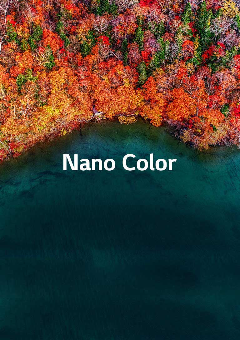 Une pureté de couleur raffinée2