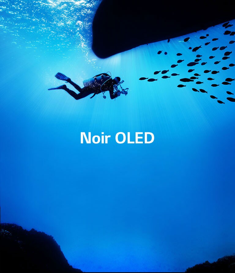 Les images prennent vie2