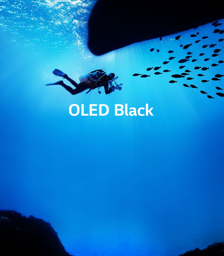 Noir parfait<br>Les images prennent vie2