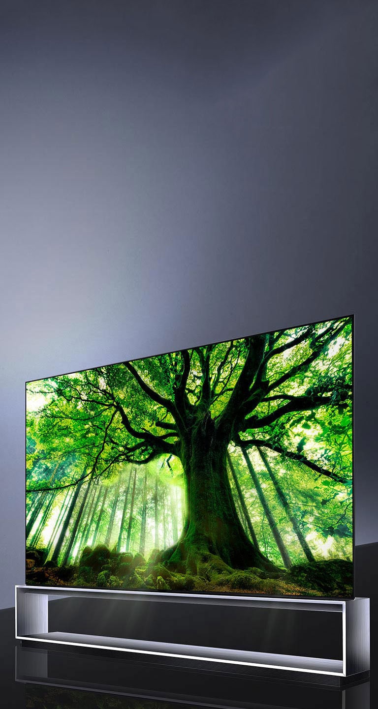 LG OLED TV donne une nouvelle dimension à la 8K2