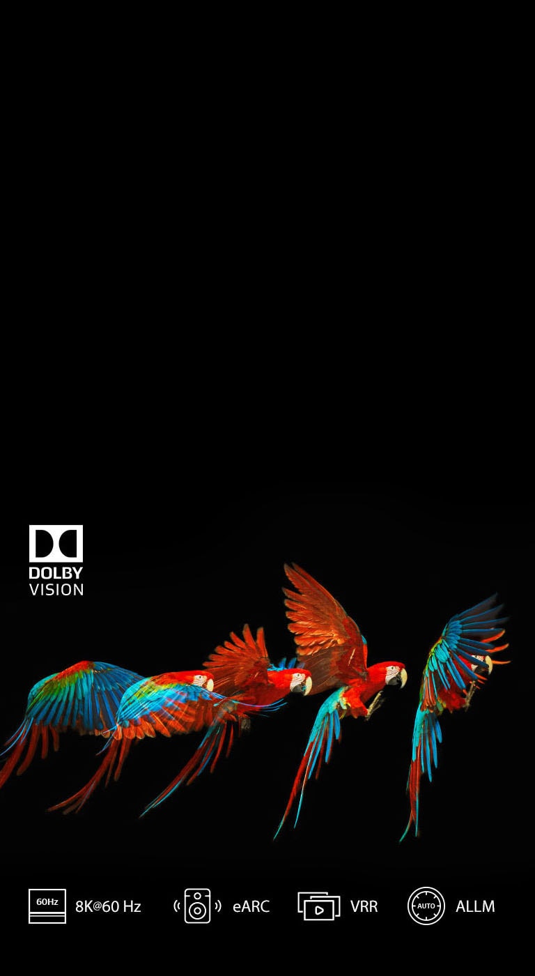 HDMI 2.1* Essentiel pour la 8K2