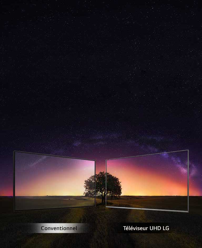 Une véritable immersion2