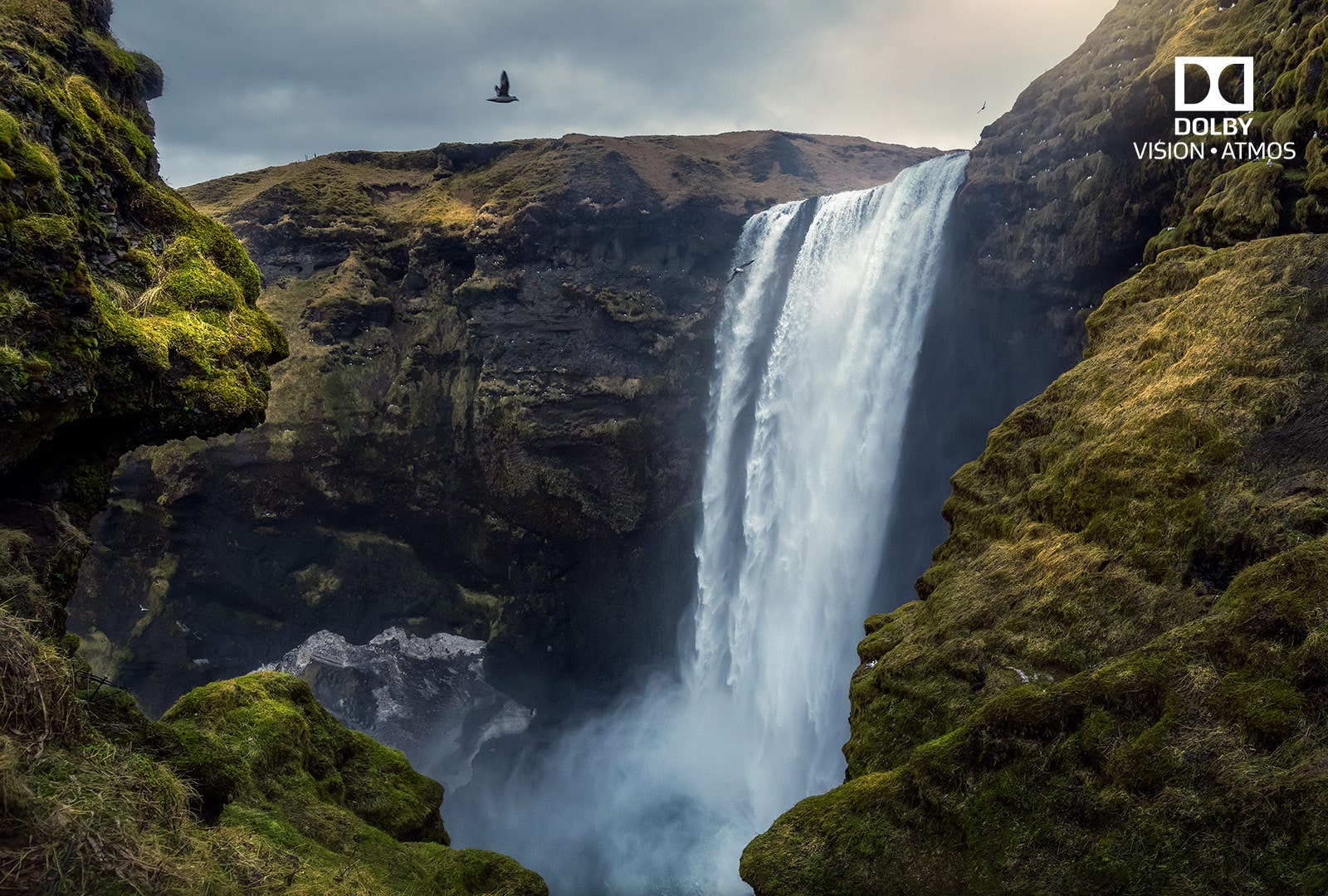 Dolby Vision et Atmos 1