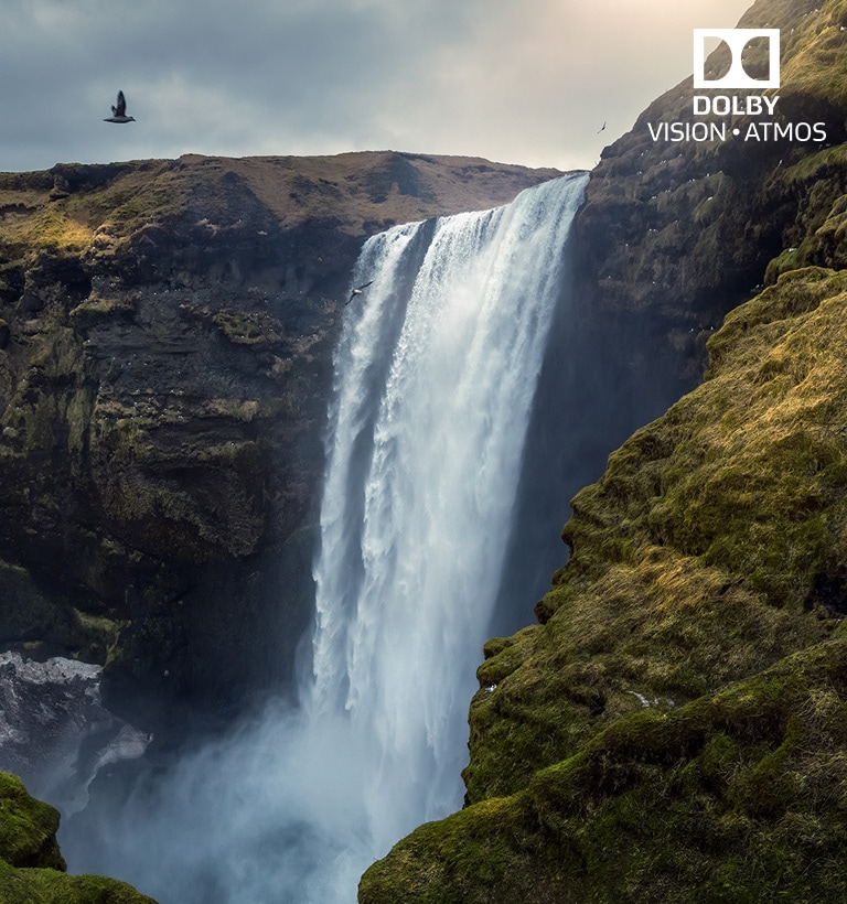 Dolby Vision et Atmos 2