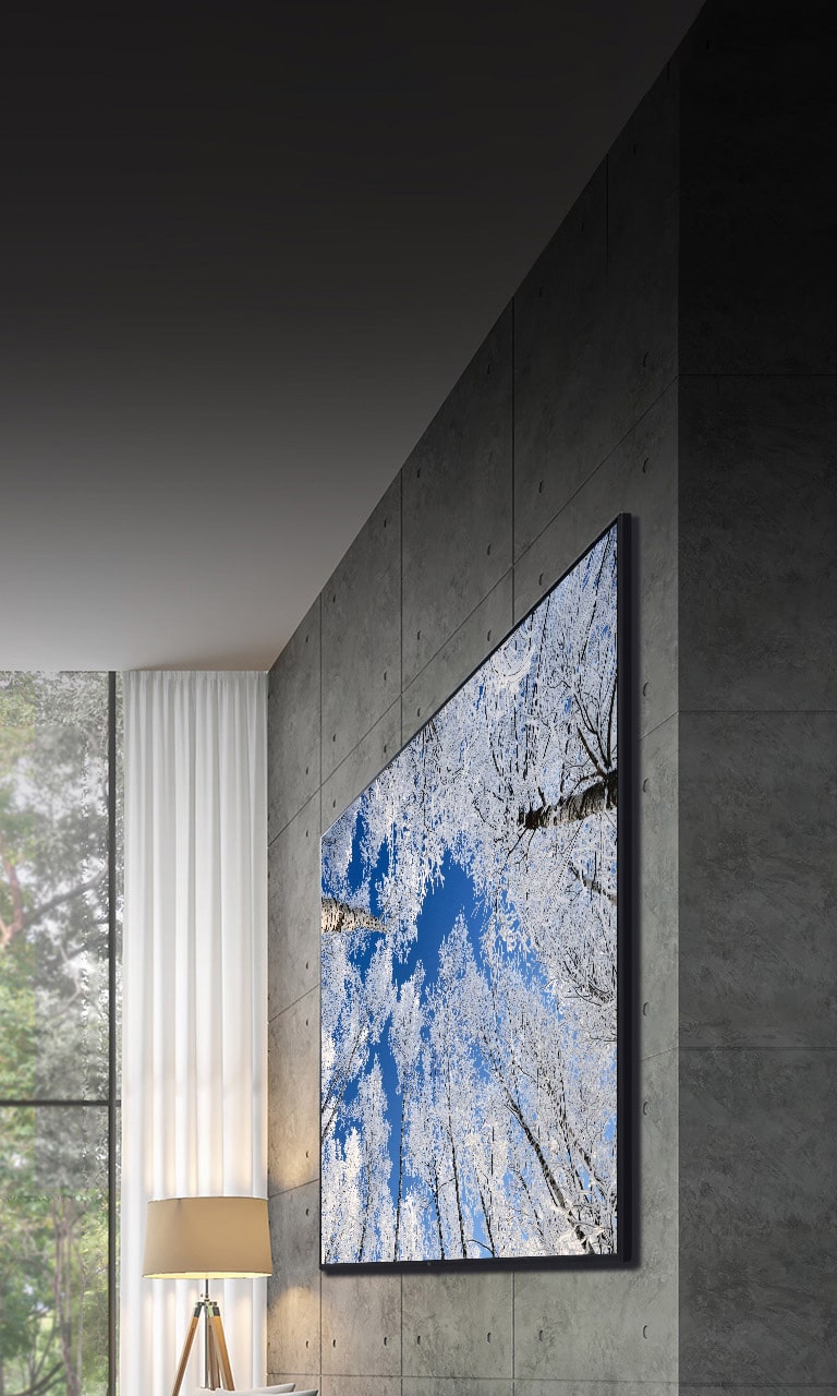 La caméra passe d’un gros plan de la partie supérieure du téléviseur à un gros plan de la partie avant du téléviseur. L’écran du téléviseur montre une aurore verte. La caméra fait un zoom arrière pour montrer un très grand salon. Le salon est gris dans l’ensemble et on voit une forêt à travers la fenêtre à l’extérieur.