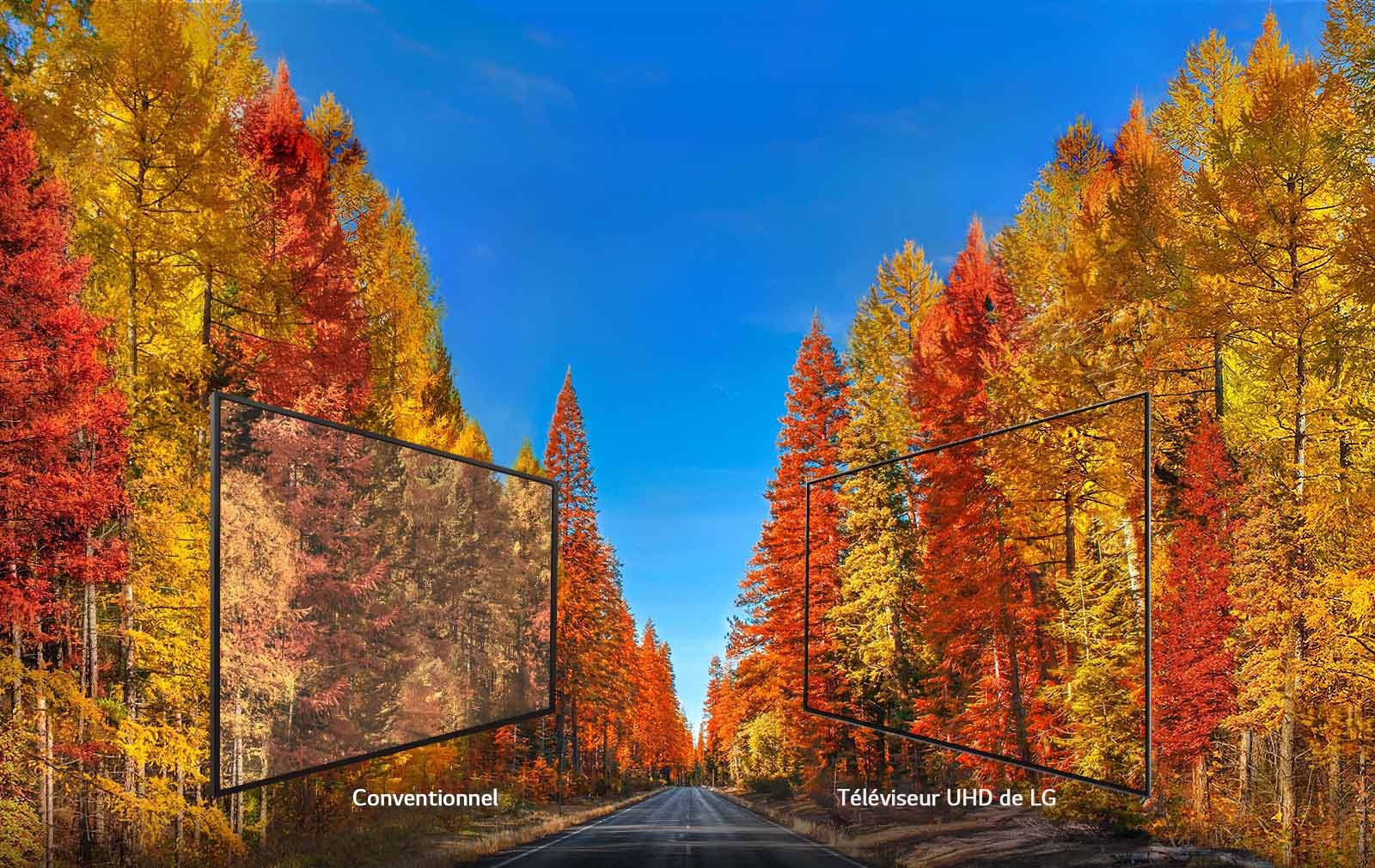 Couleurs riches sous tous les angles1