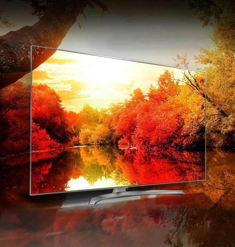 Couleurs riches grâce au 'Billion Rich Colours'2