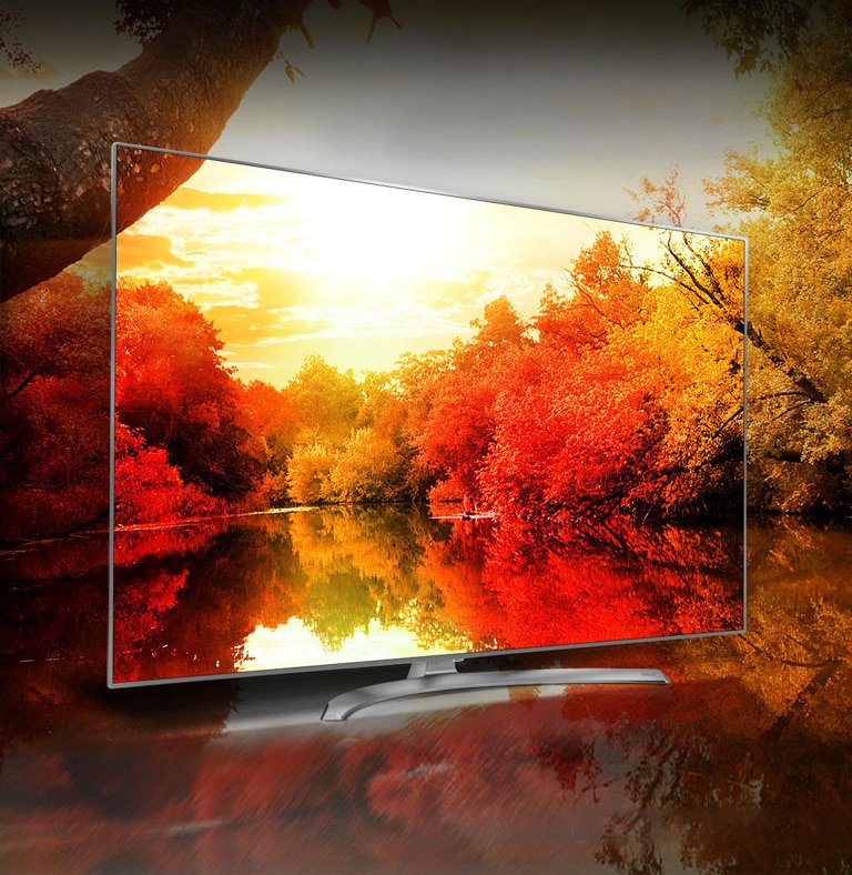 Couleurs riches grâce au 'Billion Rich Colours'2