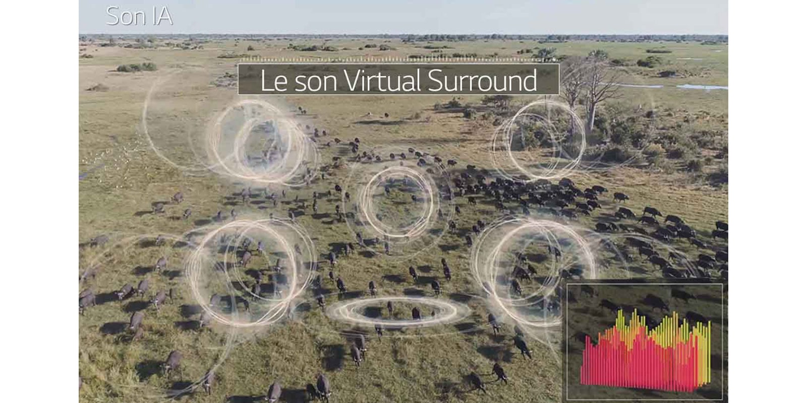 Qualité sonore révolutionnaire3