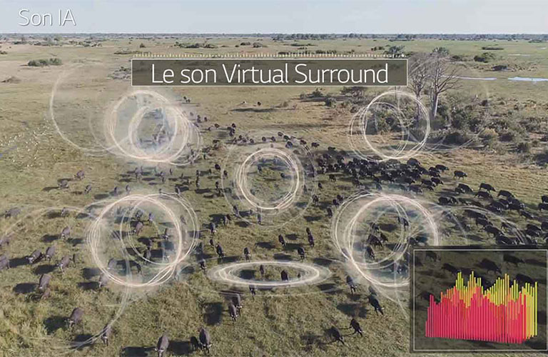 Qualité sonore révolutionnaire4