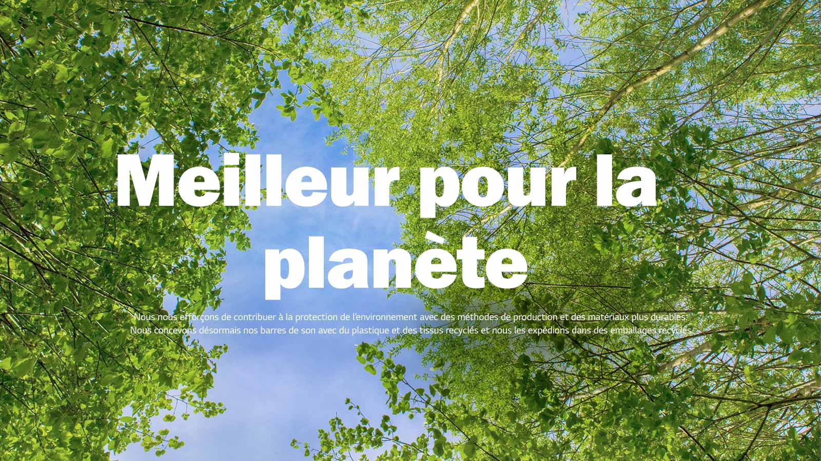  Une image verte pleine d’arbres feuillus et un ciel apparaît entre les deux