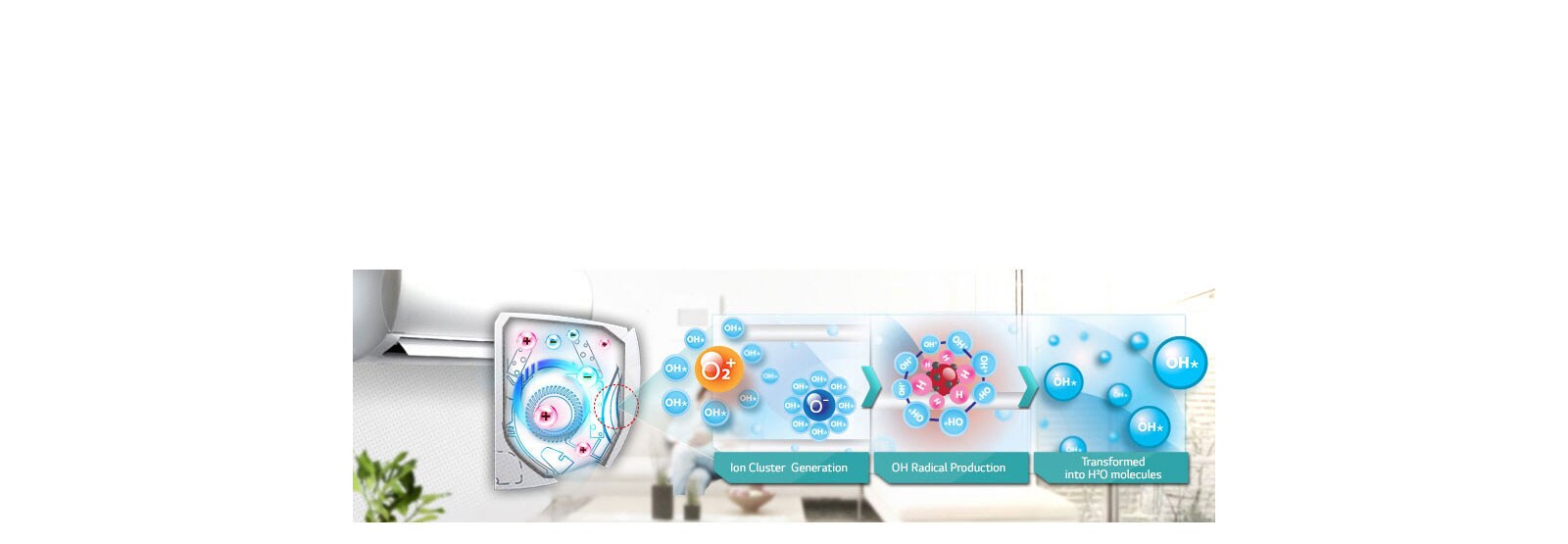 Plasmaster™ Auto Cleaning1