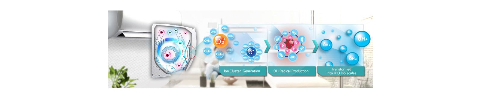 Plasmaster™ Auto Cleaning1