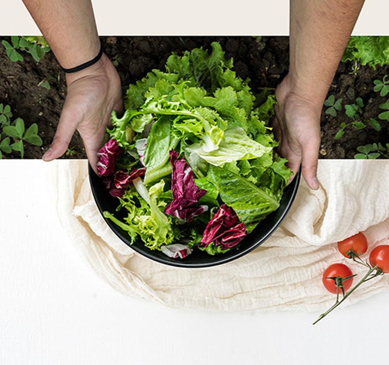 Bol de légumes frais comme s'ils étaient fraîchement récoltés dans une ferme grâce à la technologie de refroidissement du réfrigérateur.