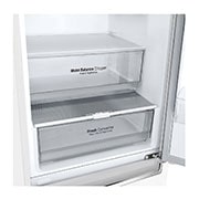 LG 341L capacité| C | DoorCooling+™ | Moist Balance Crisper™ | FRESHConverter™ | Total No Frost | Compresseur Smart Inverter, Détails intérieurs, GBB61SWGCN1, thumbnail 5