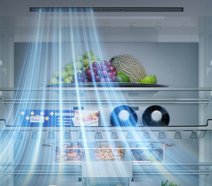 Vue intérieure du congélateur LG à congélateur en bas (GBBS726CEV) avec des étagères contenant des fruits, des légumes, des boissons et des collations, avec des lignes bleues représentant la circulation de l'air provenant du côté gauche.