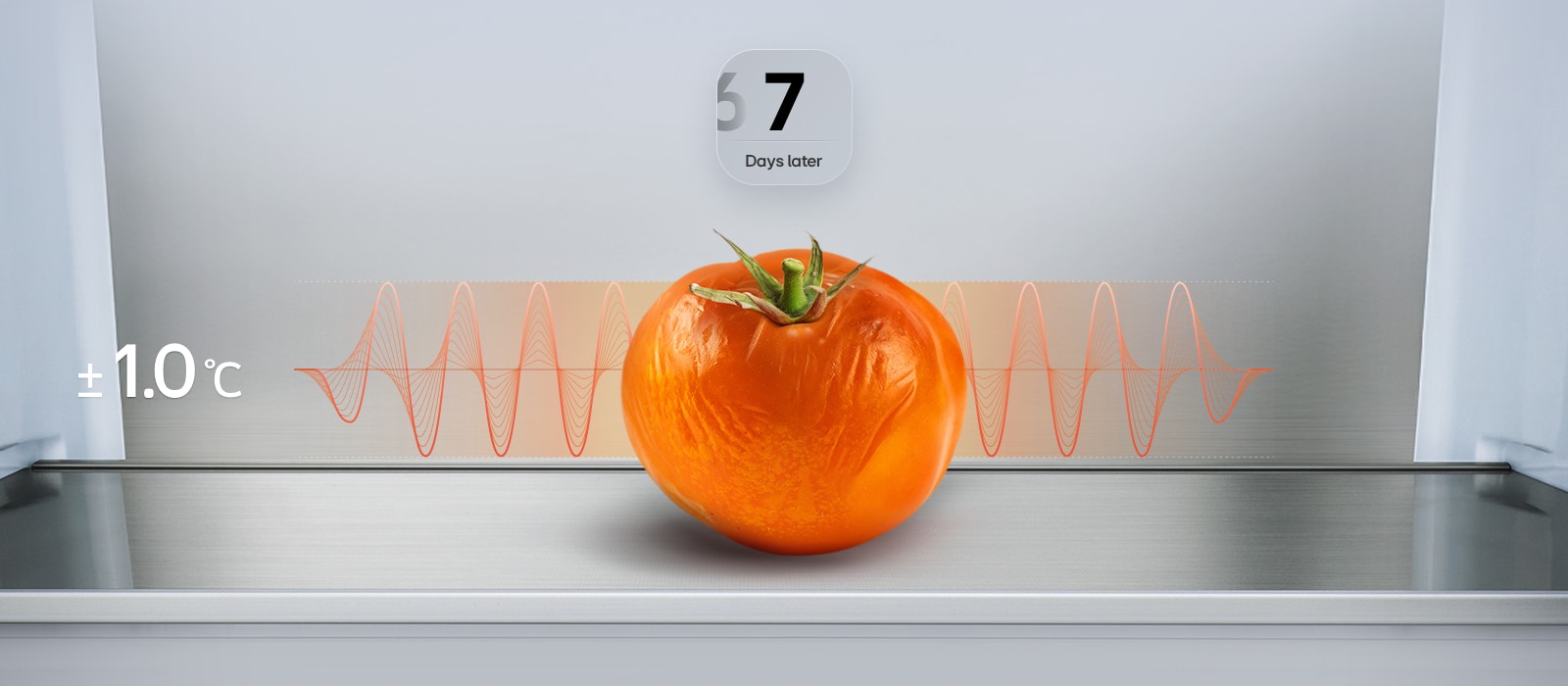 Graphique représentant une tomate flétrie après 7 jours dans un réfrigérateur-congélateur LG (GBBS726CEV), avec un graphique rouge indiquant les fluctuations et le texte « ±1,0 °C ».