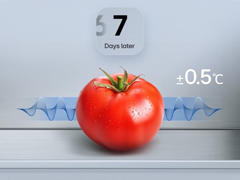 Graphique représentant un réfrigérateur-congélateur LG (GBBS726CEV) montrant une tomate fraîche après 7 jours, avec un graphique bleu illustrant les fluctuations et le texte « ±0,5 °C ».