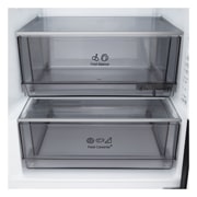 LG Réfrigérateur combiné Noir | Nature FRESH™ | DoorCooling+™ | LinearCooling+™ | LG BE, detail, GBBS322BEV, thumbnail 10
