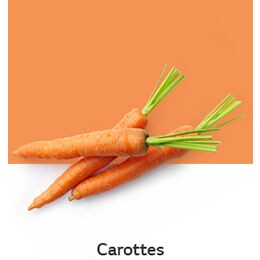REF-NatureFRESH-Vplus-03-UsefulTips-04-4-Carrots