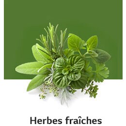 REF-NatureFRESH-Vplus-03-UsefulTips-04-6-Herbs