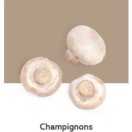 REF-NatureFRESH-Vplus-03-UsefulTips-04-9-Mushrooms
