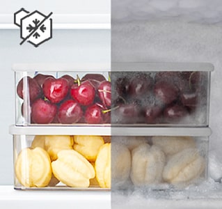 Comparaison des contenants de fruits surgelés avec et sans givre.