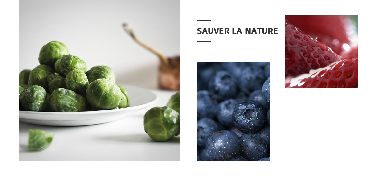 REF-NatureFRESH-Vplus-01-Story-03-Saving-Nature-Desktop