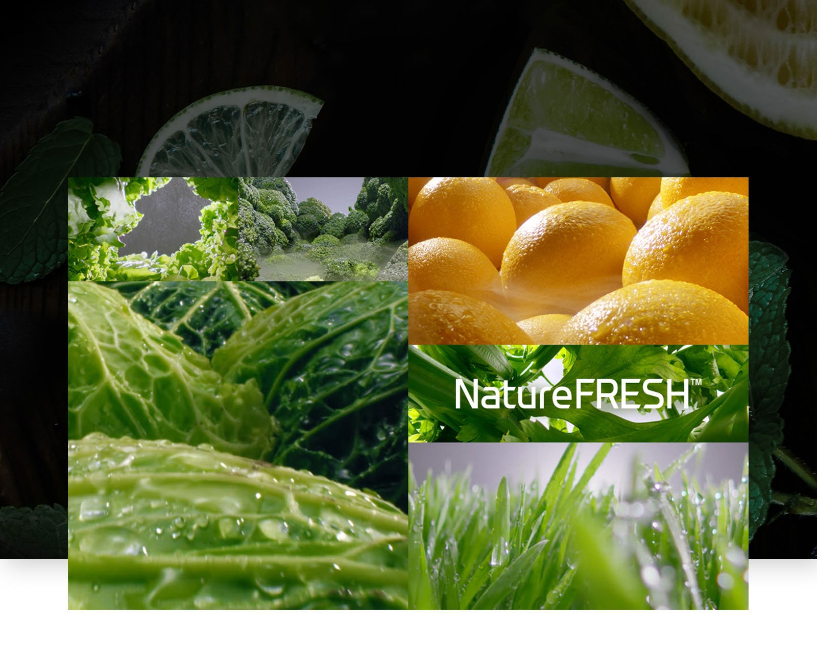 Ravissez vos papilles.3