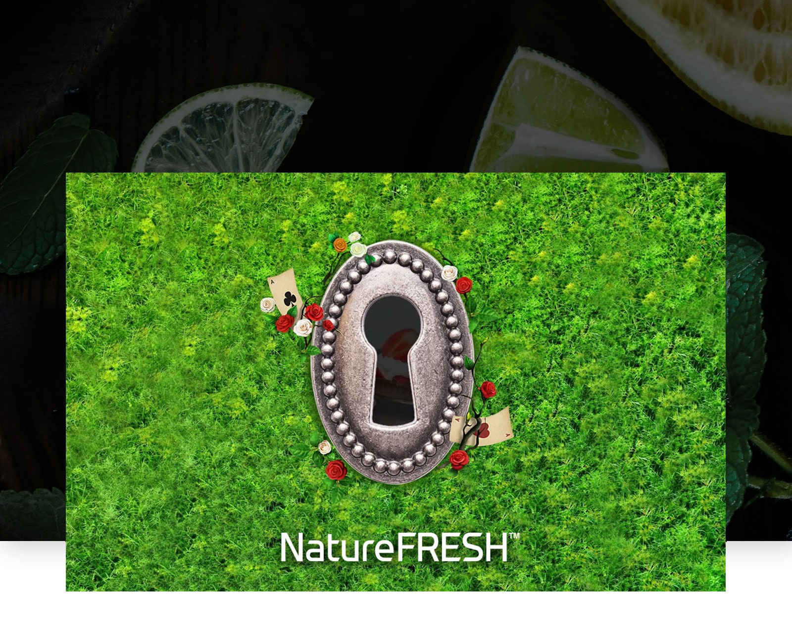 Ravissez vos papilles.3