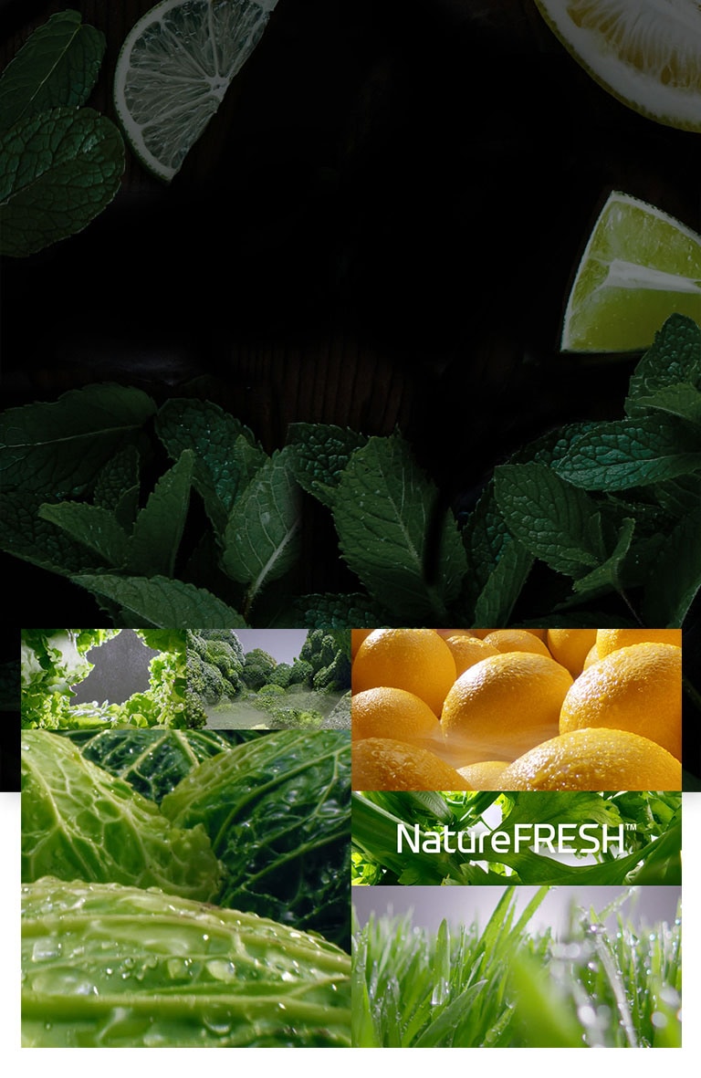 Ravissez vos papilles.4