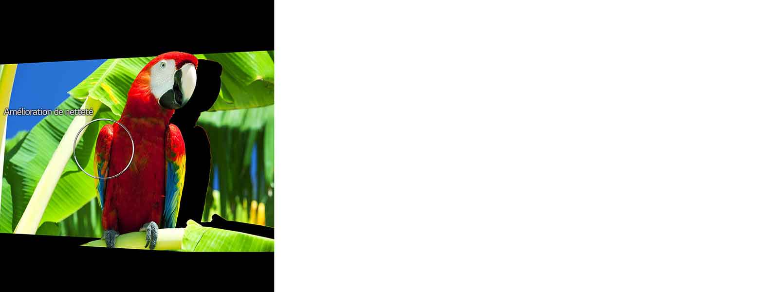 Amplificateur de netteté basé sur la fréquence1