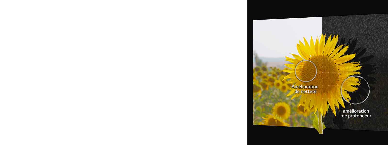 Amplificateur de profondeur d’objet1