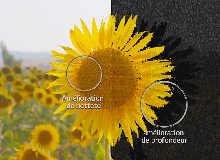 Amplificateur de profondeur d’objet2