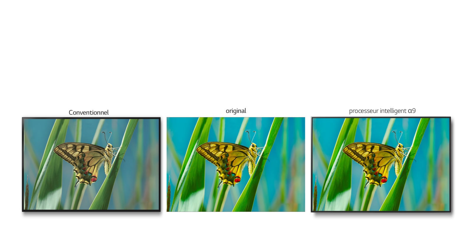 True Color Accuracy Pro1