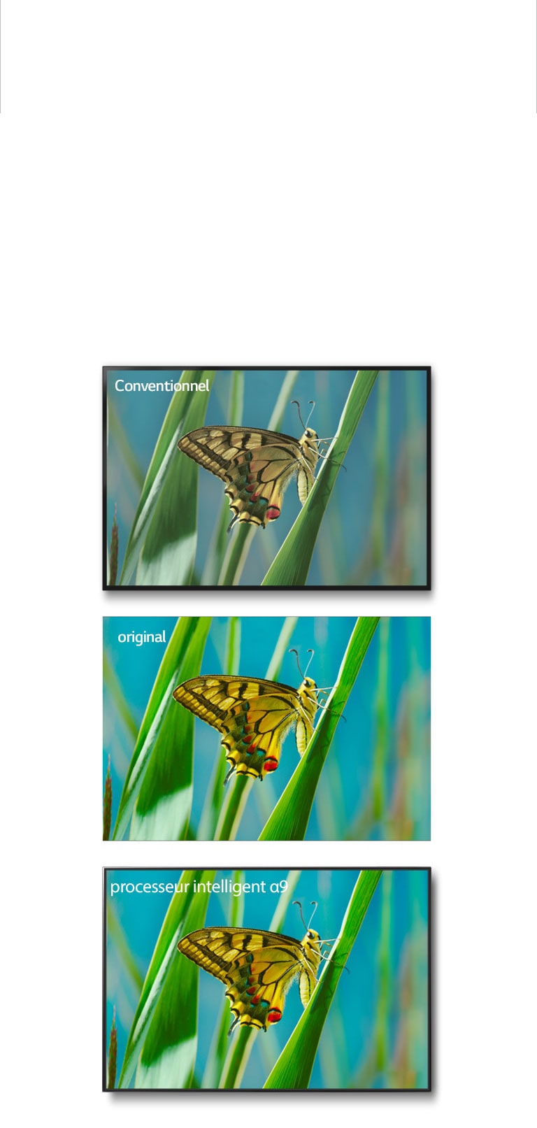 True Color Accuracy Pro2