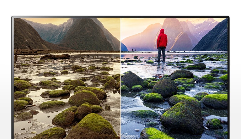 Couleurs éclatantes Lumière bleue réduite