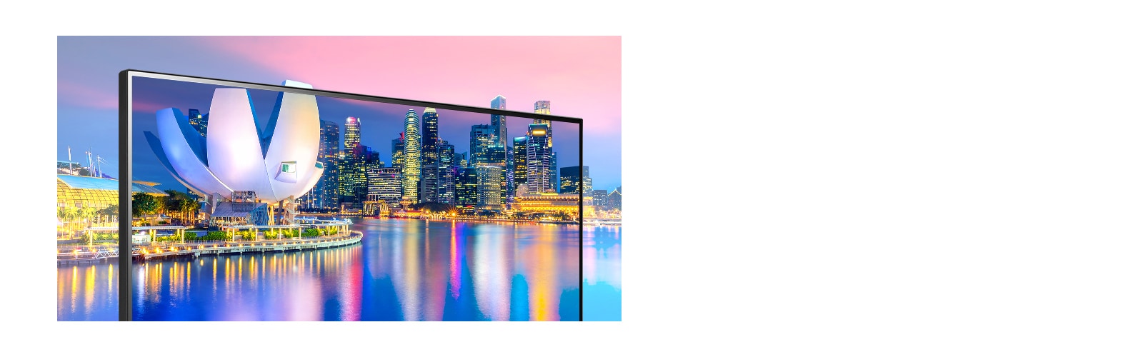 IPS avec sRGB de 95 % (Typ.) : Couleurs réalistes et vue large